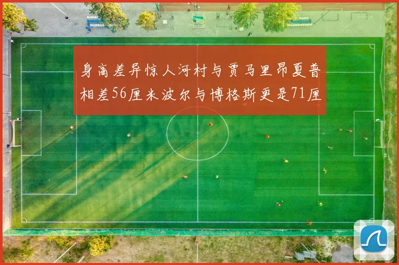 身高差异惊人河村与贾马里昂夏普相差56厘米波尔与博格斯更是71厘米