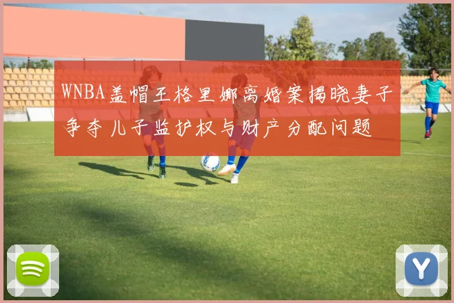 WNBA盖帽王格里娜离婚案揭晓妻子争夺儿子监护权与财产分配问题